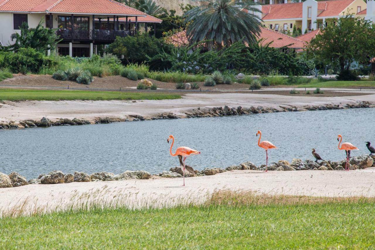 Blue Bay Beach Apartments Bagian luar foto